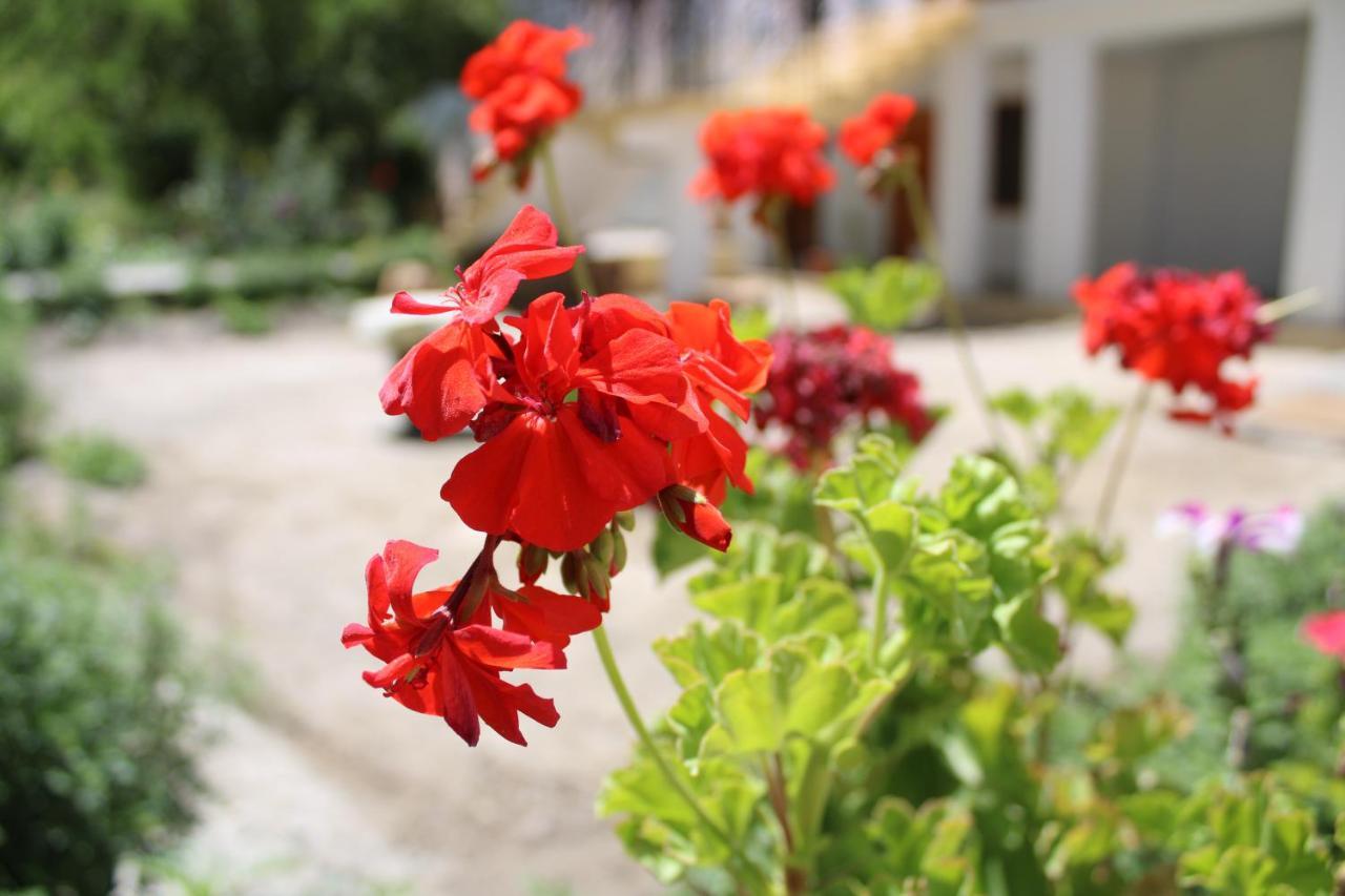 Sernang Homestay Hundar 外观 照片