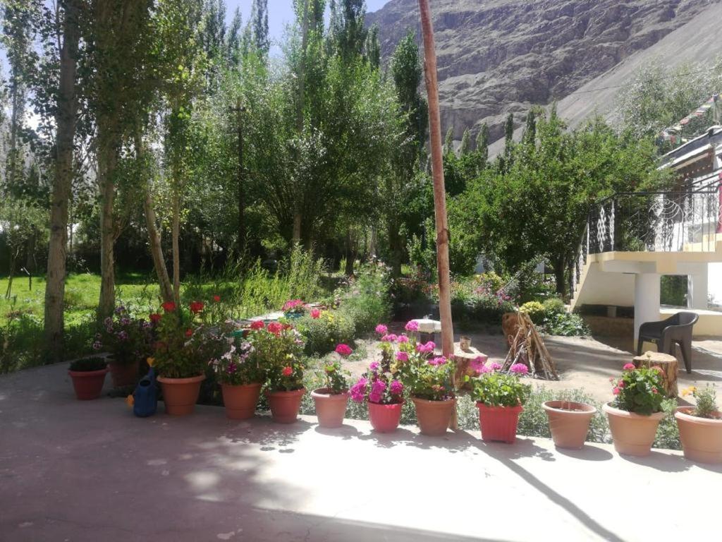 Sernang Homestay Hundar 外观 照片
